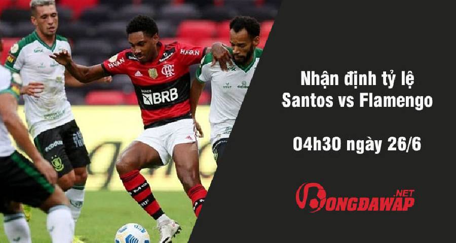 Nhận định tỷ lệ Santos vs Flamengo, 04h30 ngày 26/6